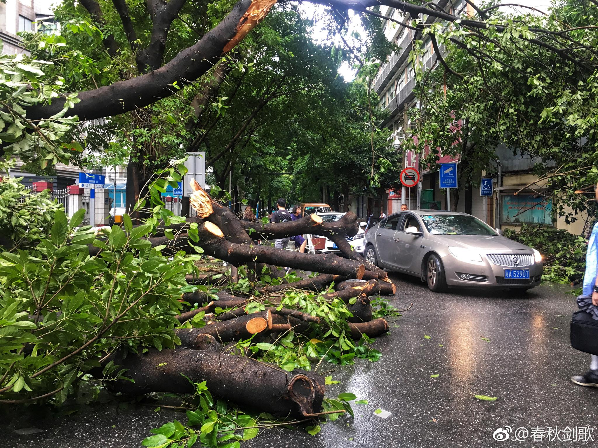台风过后的东园横路@广东天气 @广州天气 @中国广州发布