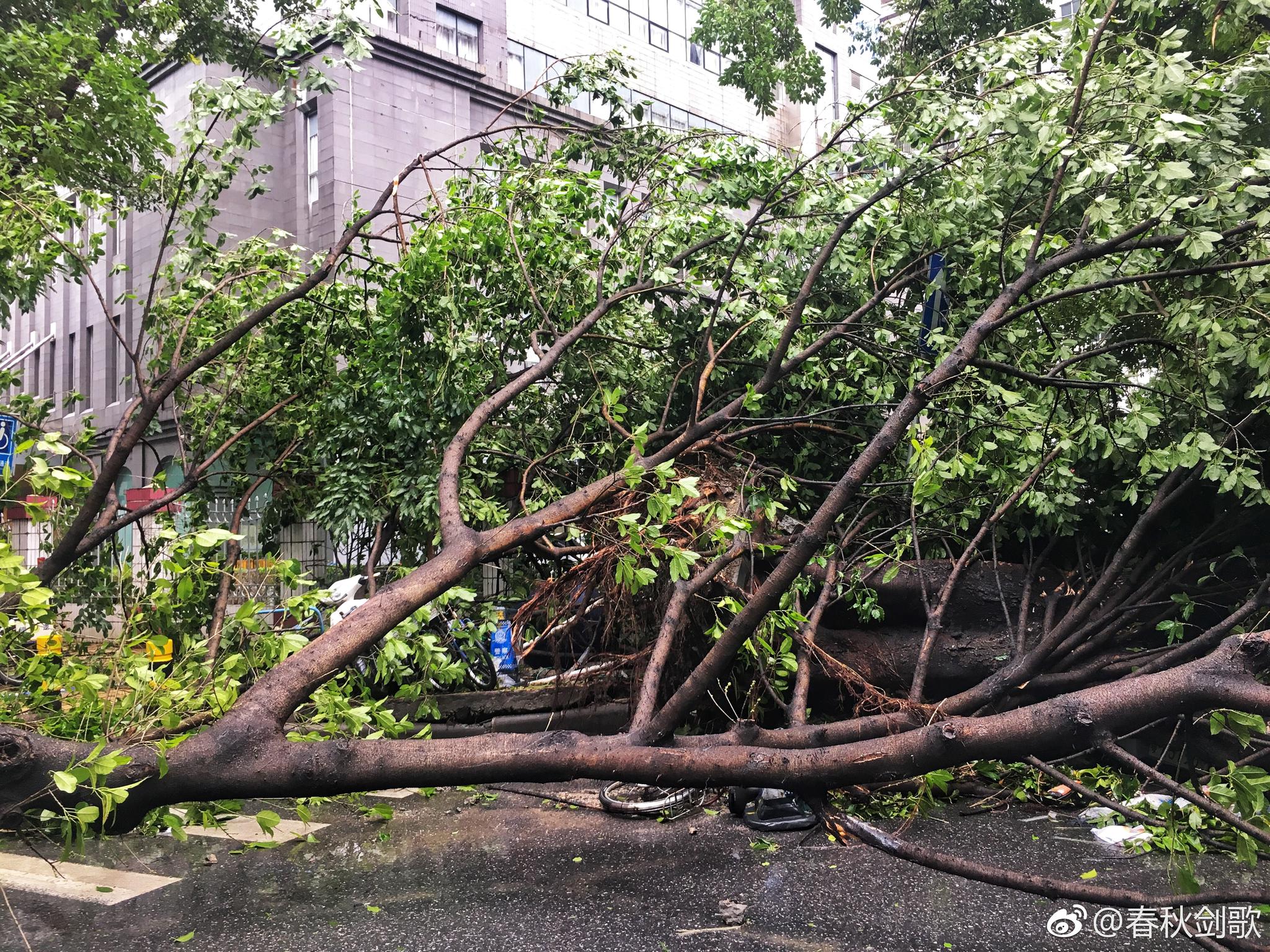台风过后的东园横路@广东天气 @广州天气 @中国广州发布|东园|天气|台风_新浪新闻