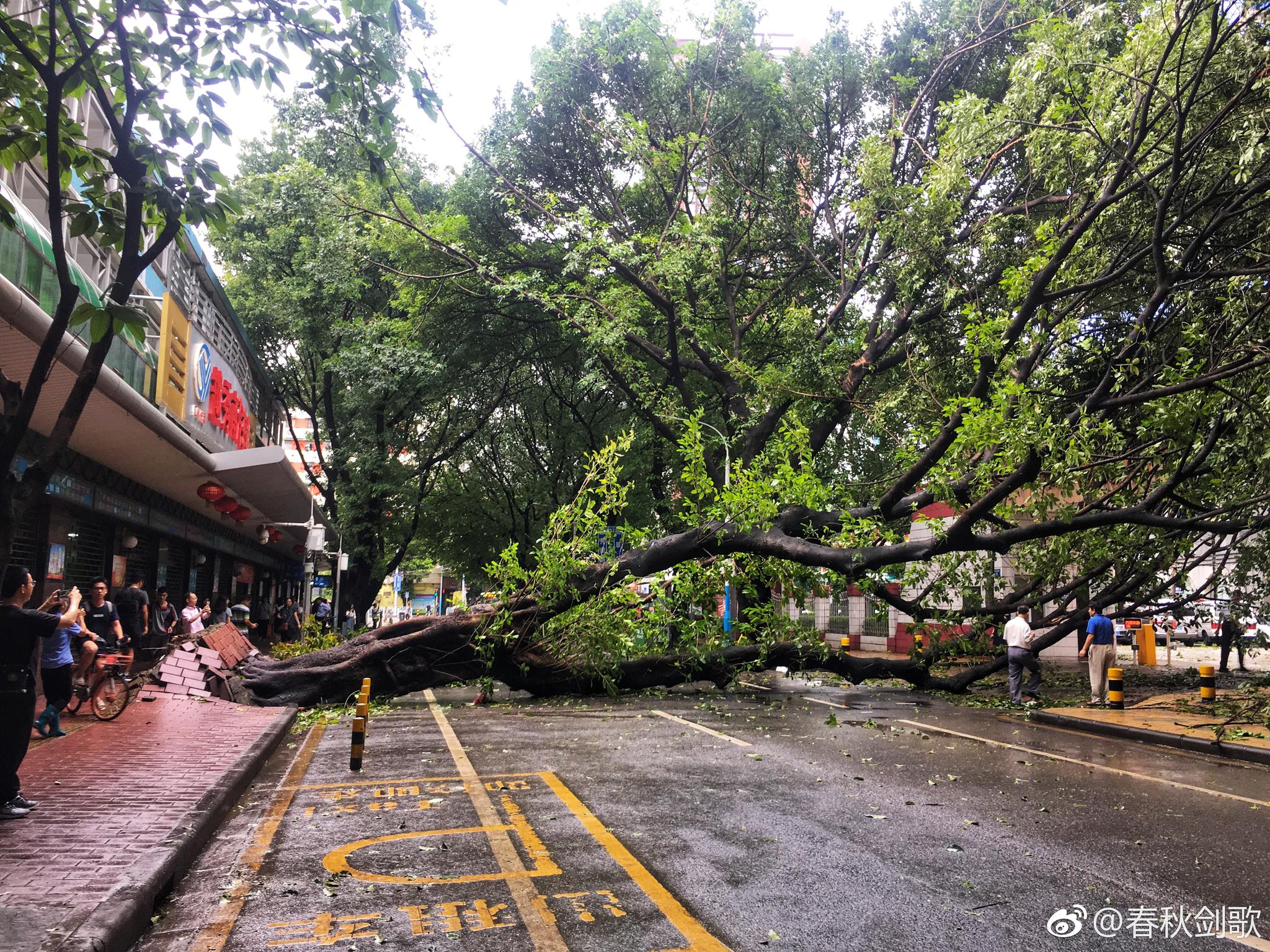 台风过后的东园横路@广东天气 @广州天气 @中国广州发布