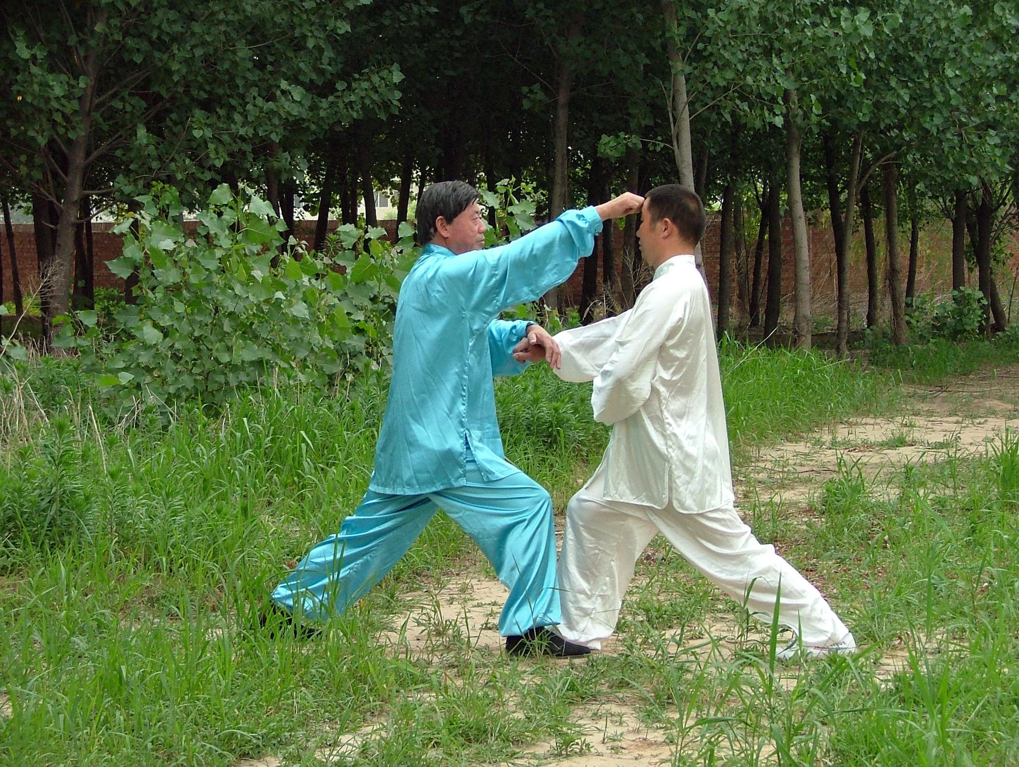 带你认识真正的两仪拳