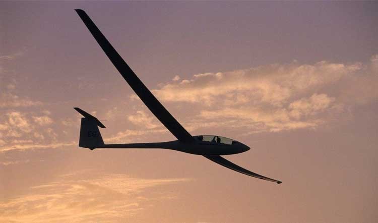 运用机器学习技术能使滑翔机像鸟一样飞行