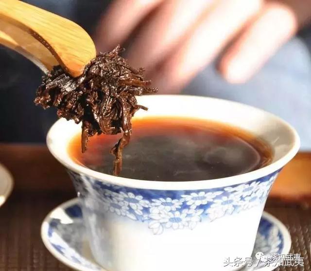 喝剩下的茶渣是个宝,大有用处