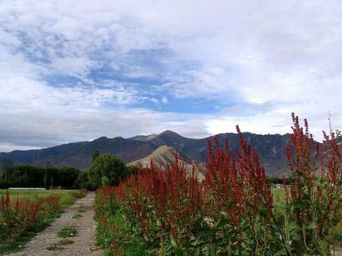 山中才一日，世上已千年，你是否去过这些福地呢？|华山|龙虎山|福地|道教|九华山_新浪新闻