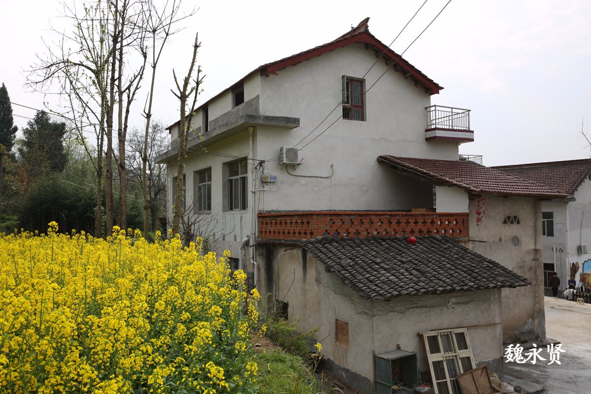 自家房子变乡村客栈 村里补贴10多万