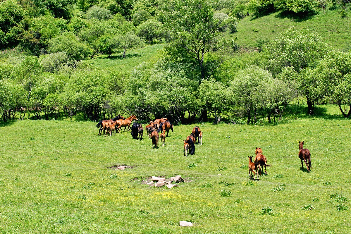 坪头镇——四沟滩村——新民村——王家咀村——南皂村——石尧村