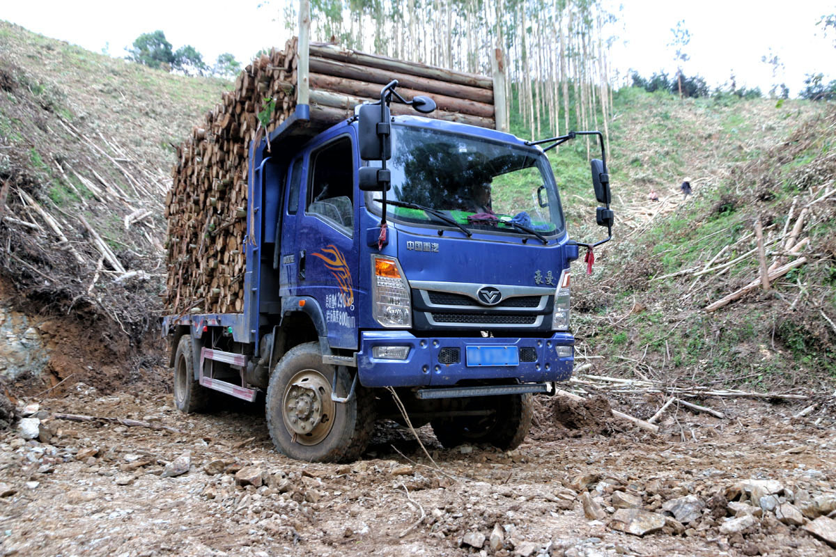 近日我来到了广西,深入了解重汽豪曼四驱自卸车在木材运输中的实际