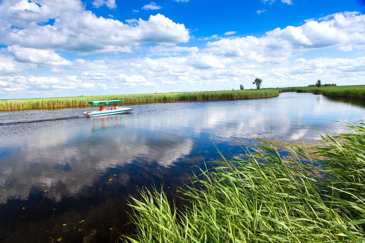 北方最大的原始湿地,一望无际的芦苇荡,让你无法忘怀