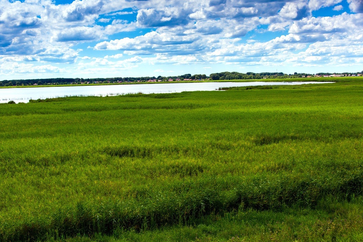北方最大的原始湿地,一望无际的芦苇荡,让你无法忘怀