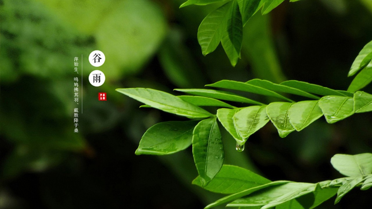 谷雨在南方飘落,烟在柴楼间移动;两晋时代的诗人,就这样