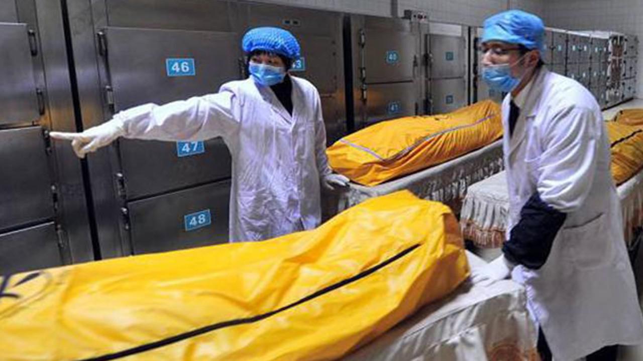 为什么还没人干