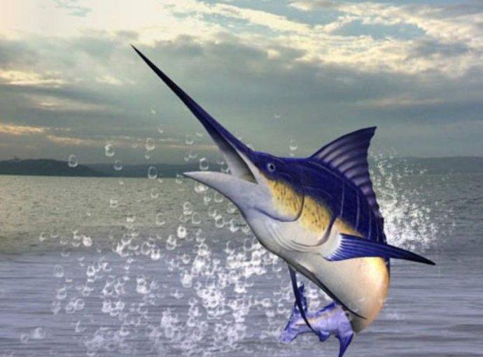 世界上最神奇的动物, 有蓝色龙虾, 有蓝色老虎!