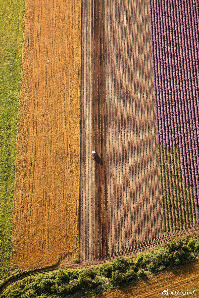 俯瞰巴尔干半岛色雷斯壮观麦田