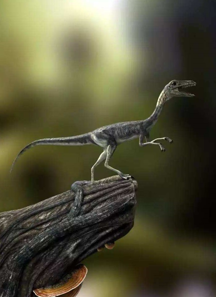 首先,秀颌龙生活在距今一亿年前的欧洲地区,跟现今的物种相比,秀颌龙