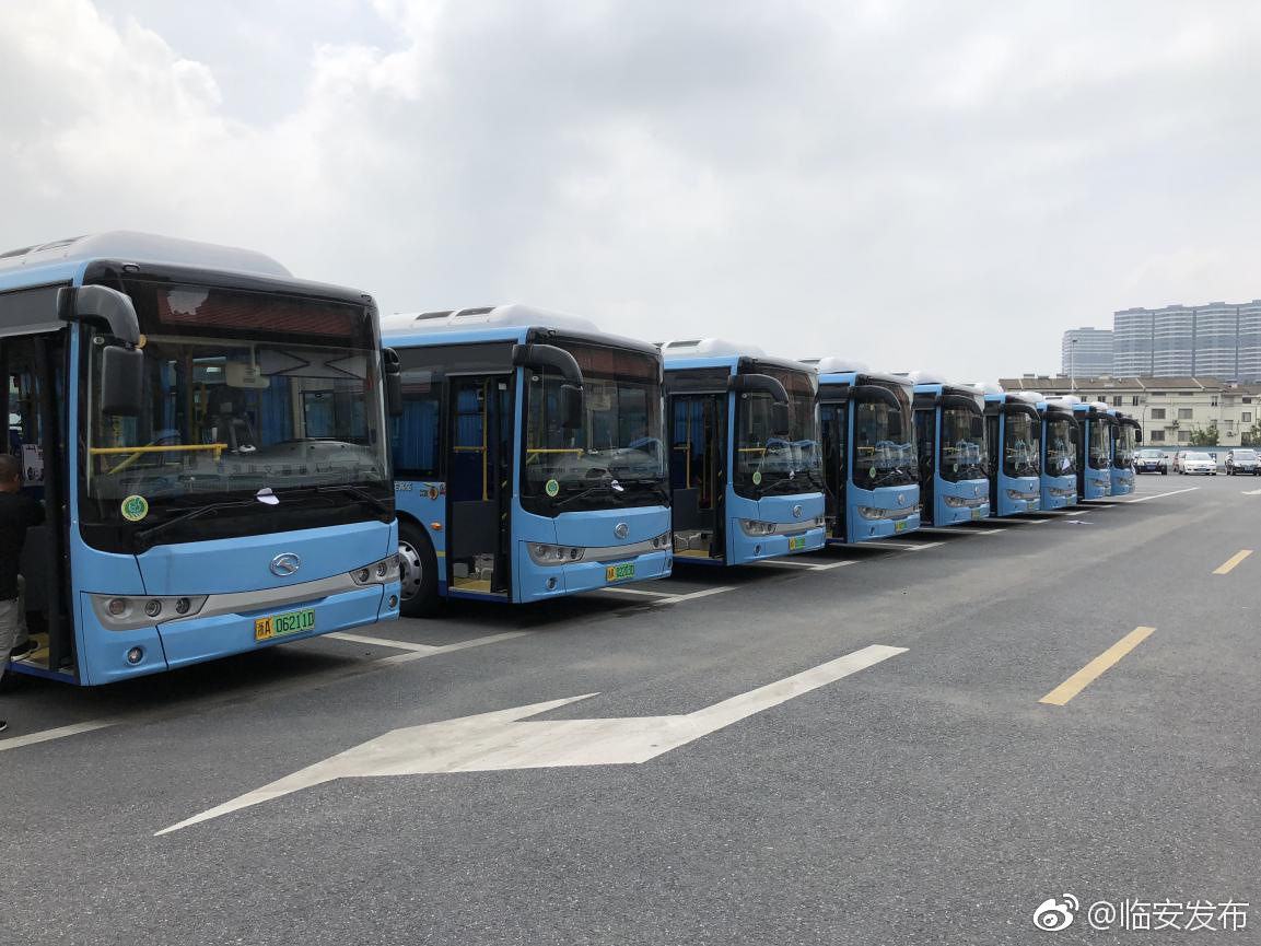 临安公交第三批纯电动公交车投入使用