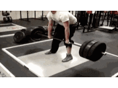 被哑铃暴击一下也不好受