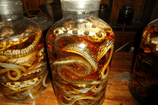 男子用眼镜蛇泡成药酒, 不料数月后他却遭到蛇的报复