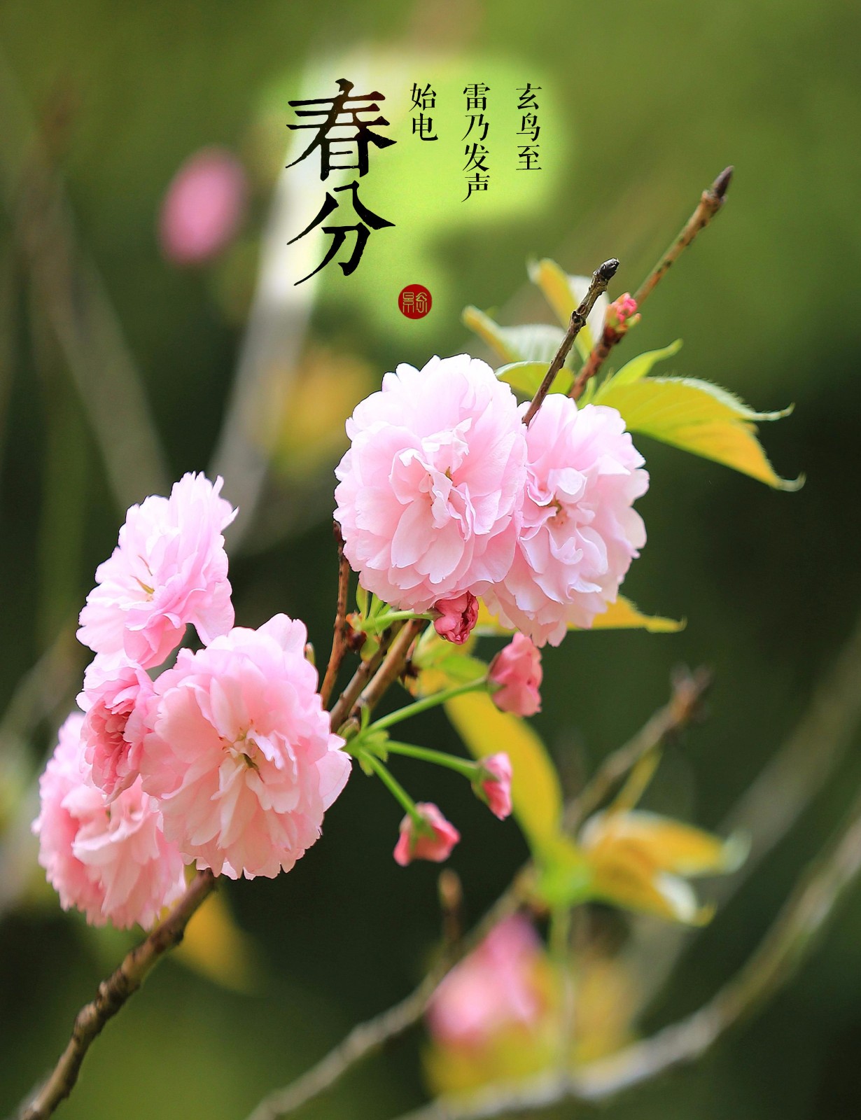 今日春分!春分的习俗禁忌和保健养生__财经头条