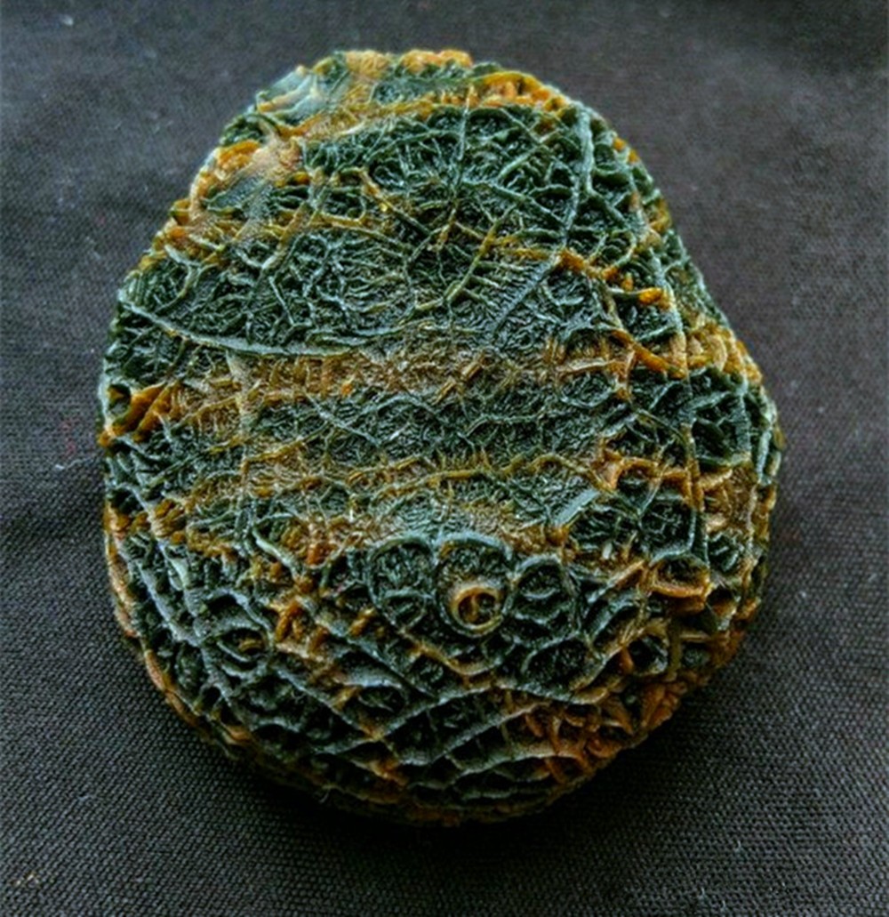 男子戈壁探险发现一"罕见奇石",仔细一看,两眼发傻了