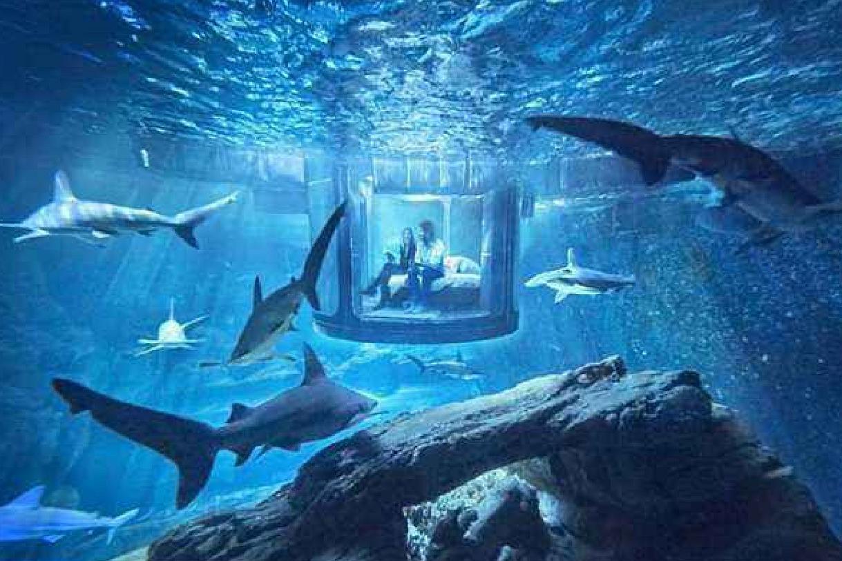 这是世界上最会吃的城市?每天吃掉3个亿,你的小甜甜也在这