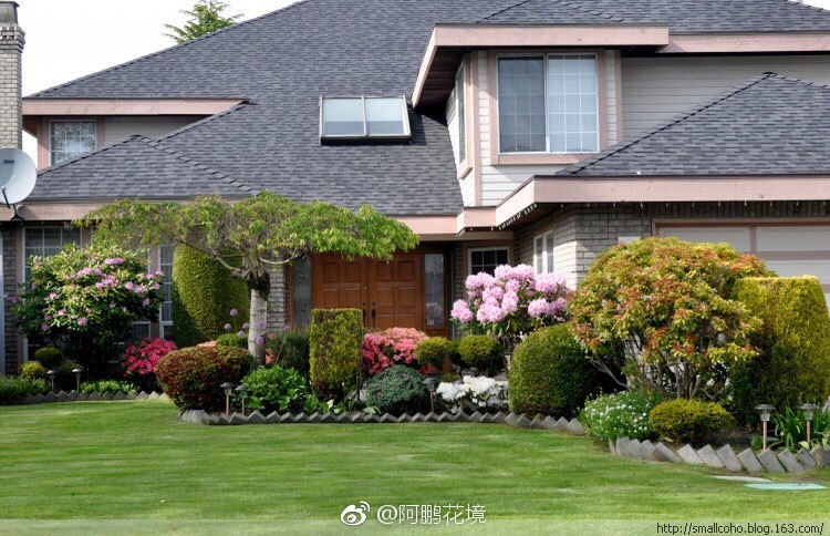 杜鹃为主题的美式花境花园