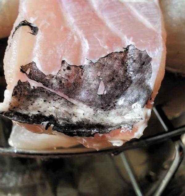 爱吃鱼的你, 应该知道这层黑膜的一切! ! !