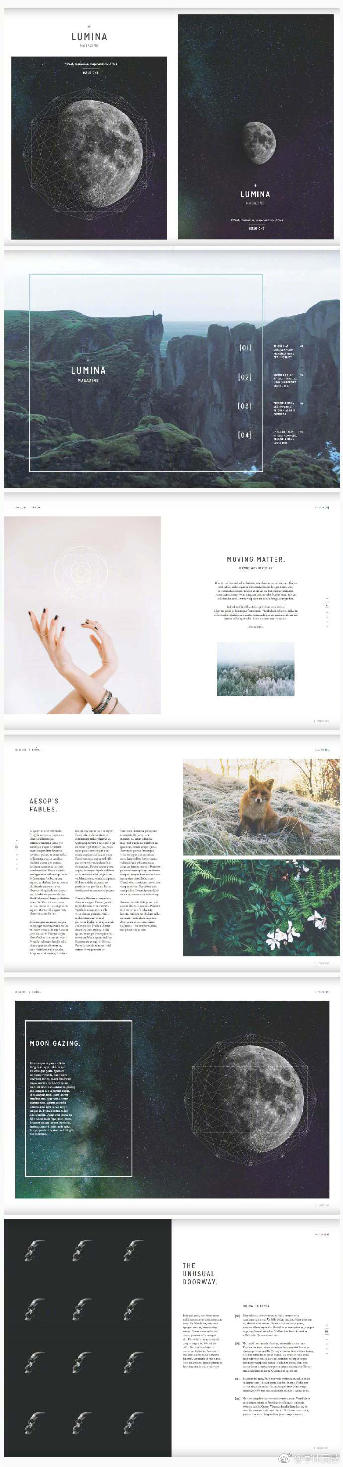 杂志图文排版设计