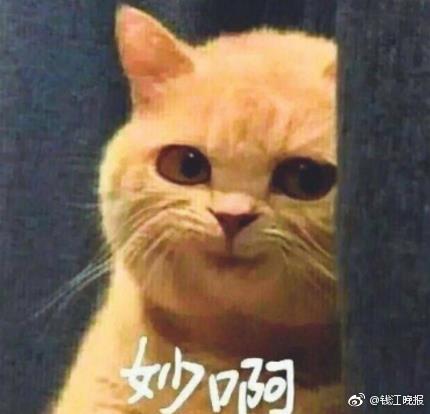 买了一辆二手车,里程有问题,法院判:退一赔三