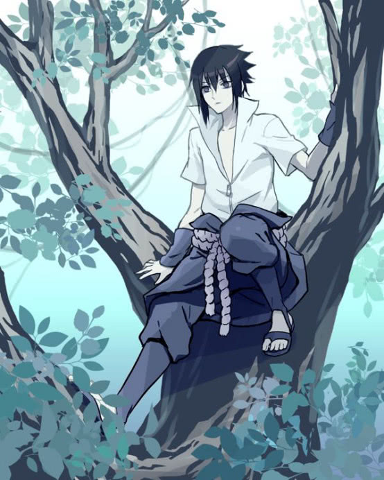 火影忍者佐助在你眼里是个什么样的人