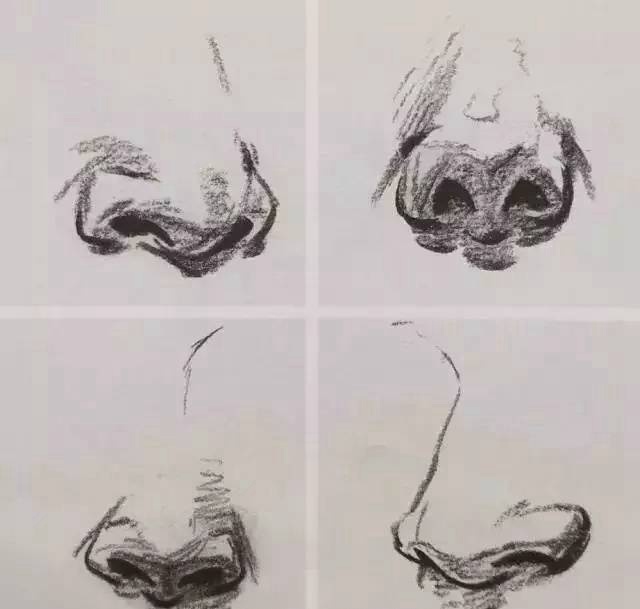 精进自我觉渡他人速写人物五官赏析67