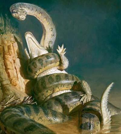 泰坦巨蟒的化石边发现史前巨鳄两者竞争关系从远古延续到了现在