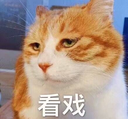 一组萌萌的猫咪表情包点赞吸个猫吧