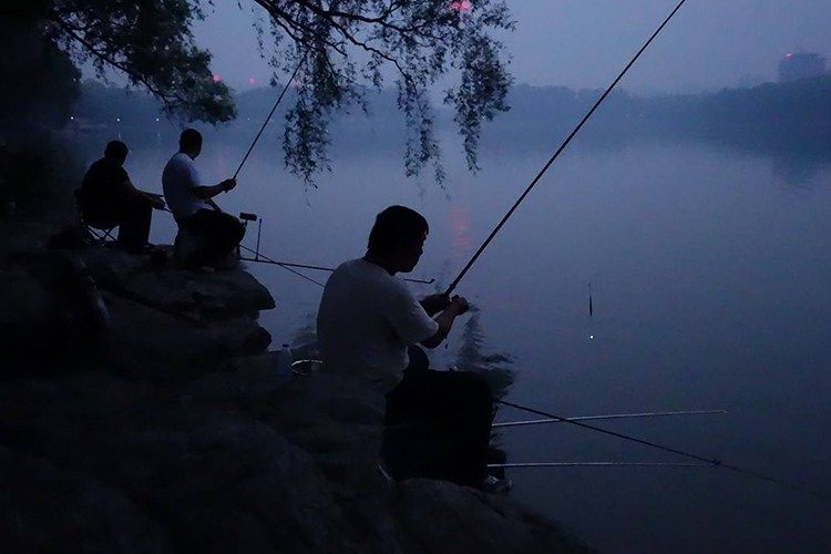资深钓鱼人讲解夏季夜钓应该注意什么 想去夜钓的看过来