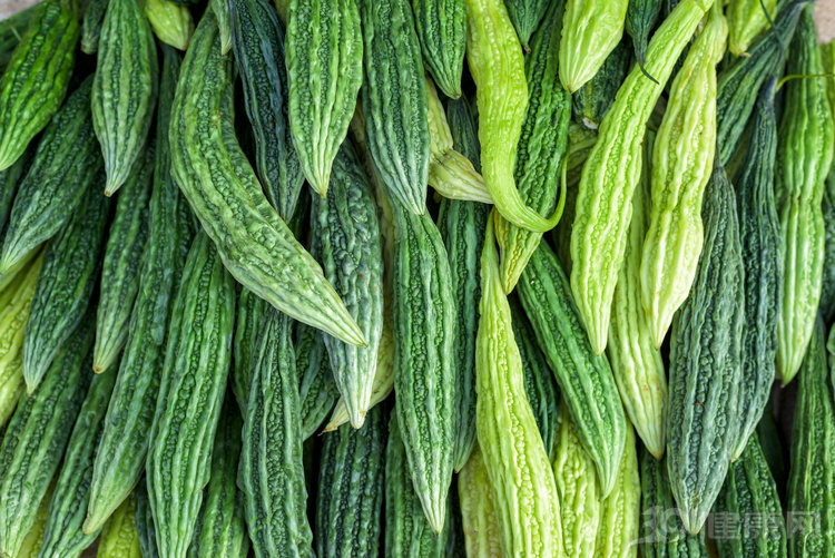 美国研究：能吃苦的人，的确少得癌！4类食物，就怕你嫌弃|苦味|食物|参试者_新浪新闻