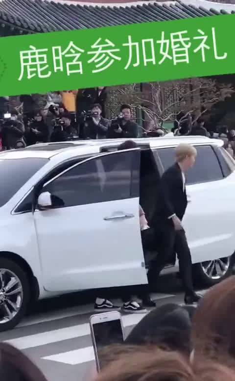 KPL总决赛明星表演赛:猫神项羽断三路兵线,鹿