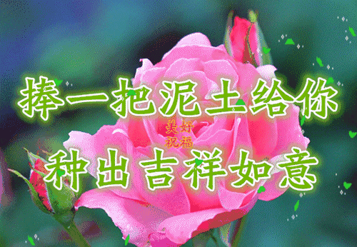 致我亲爱的同学们感谢你们陪伴的美好珍惜我们永恒的缘分祝福彼此生活