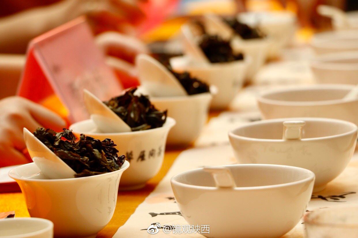 一带一路缔结岩骨花香 武夷山斗茶大会西安举行