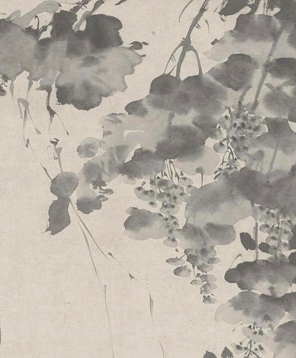 明徐渭水墨葡萄图每日一画