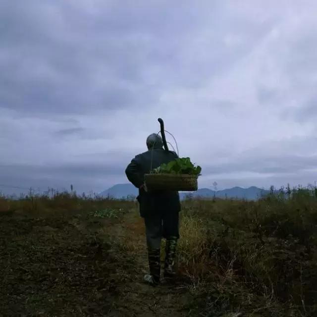 一个不称职的父亲的故事