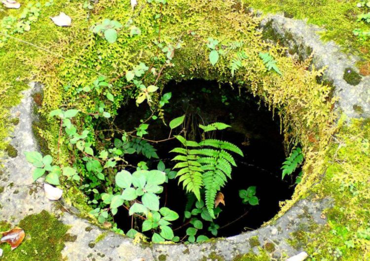 公公去世,婆婆每天往水井扔肉,儿媳百般疑惑朝着井底看,傻了!