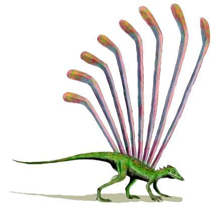 长鳞龙 - 求真百科