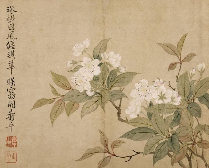 恽寿平没骨花鸟