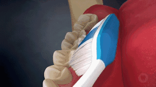 采取45°轻微画圈或水平颤动刷头,同样记得沿着牙龈线,往牙冠的方向拂