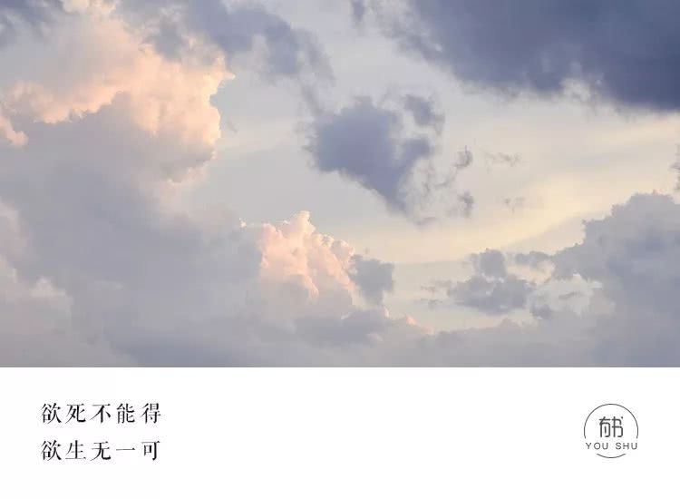 女人最高级的魅力是从不向命运低头