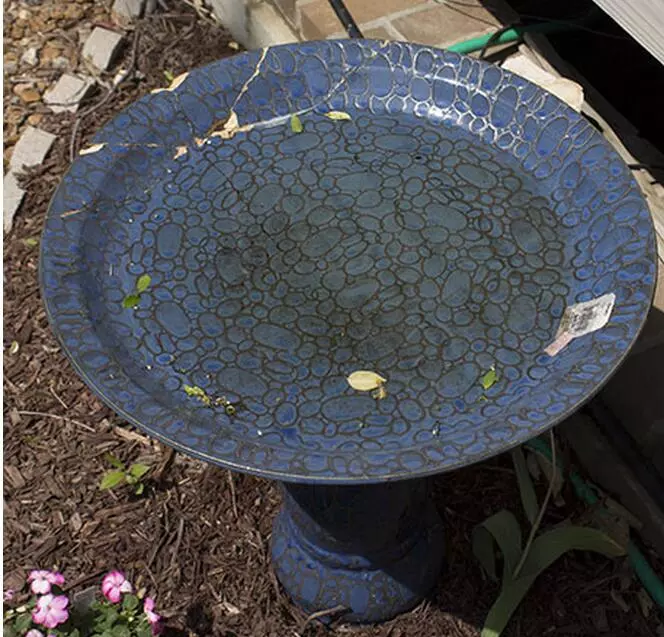 女子买破水盆又剪碎光碟被家人臭骂一顿最后以赞声收场