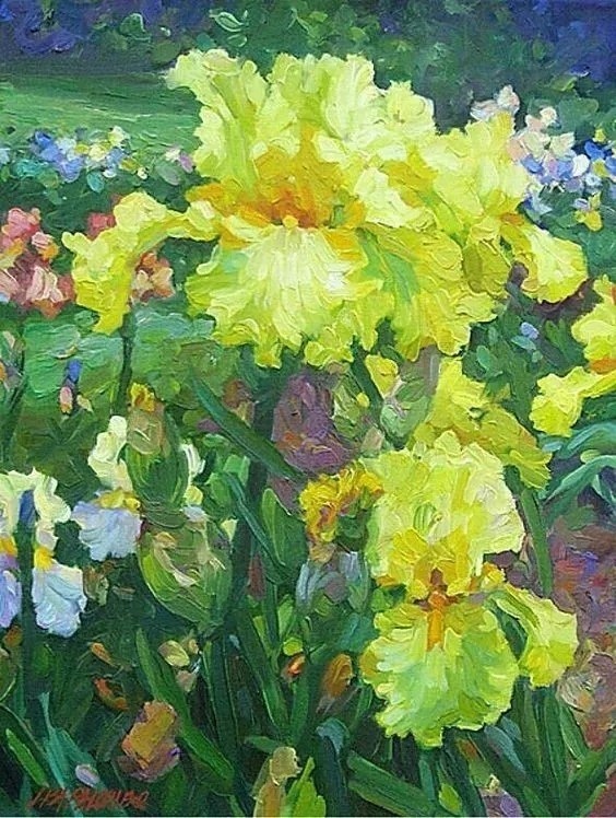 强烈的对比 浓烈的颜色 lisa palombo的油画花卉作品