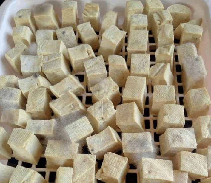 首先这豆腐,是很营养的食物,但是不能保存太久,然而豆腐在发酵之后