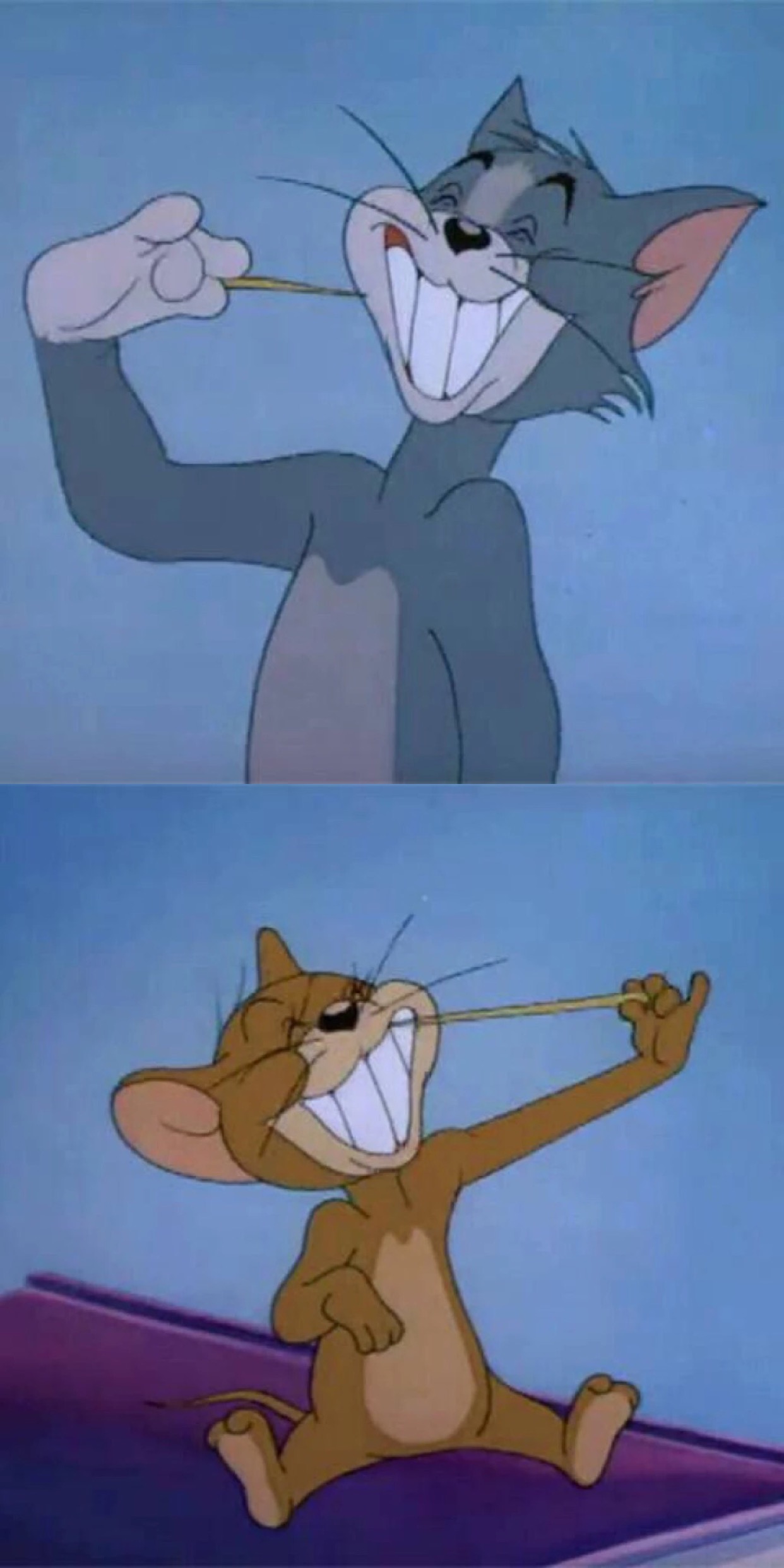 猫鼠cp属于童年的记忆