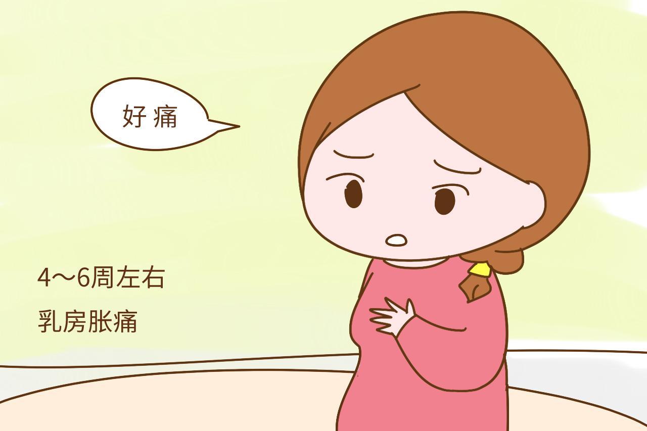 12d8-fyzeyqa8722291.jpg