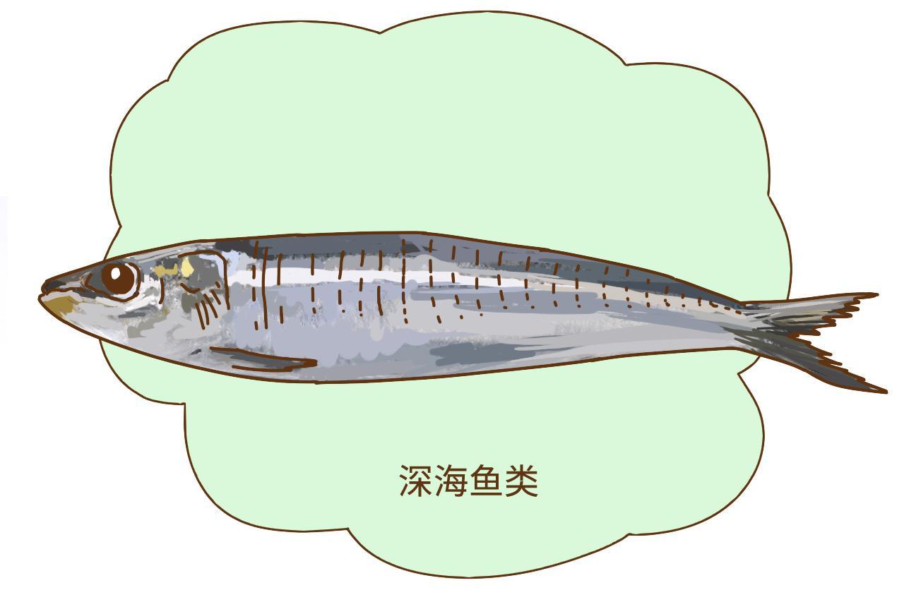 ea3f-heqpwqy6222708.jpg