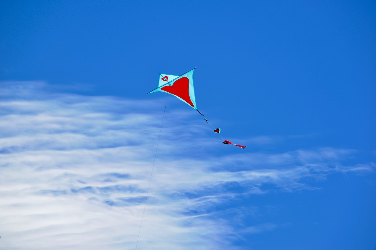 天马行空,大鱼离去,悉尼的天空太梦幻|风筝|风筝节|悉尼_新浪新闻